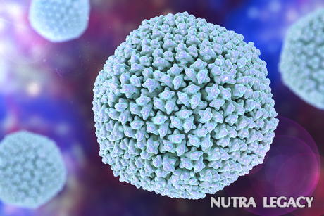 Adenoviruses