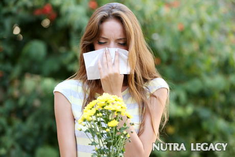 Allergy Treatment Allergy Treatment