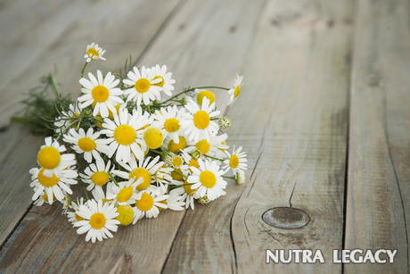 Alpha Lipoic Acid