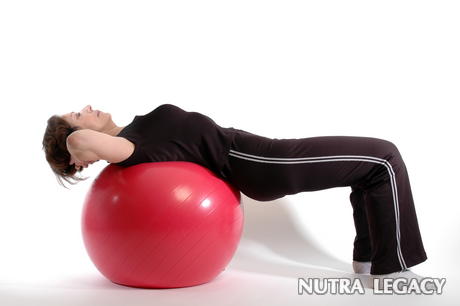 Back Extension Exercises Back Extension Exercises