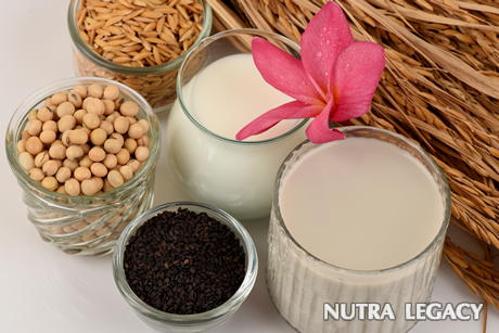 Benefits of Lecithin