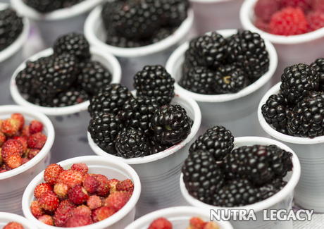 Natural Sugar Substitutes Natural Sugar Substitutes