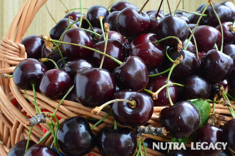 Black Cherry Extract