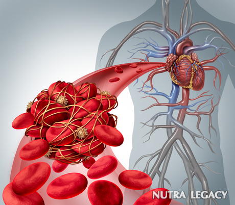 Blood Clot Formation