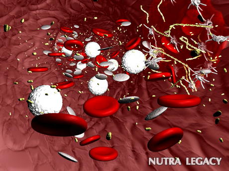 Blood Coagulation Factors Blood Coagulation Factors