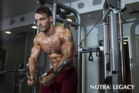 Bodybuilding Diet Plan Bodybuilding Diet Plan