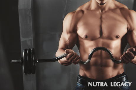 Bodybuilding Diet Plans Bodybuilding Diet Plans