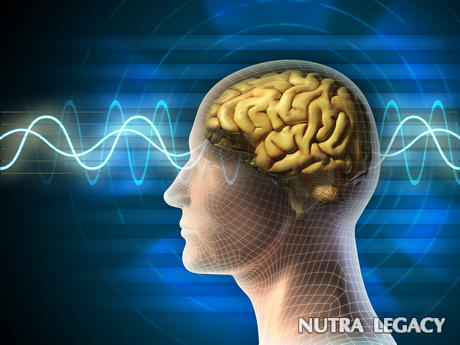 brain-health brain-health