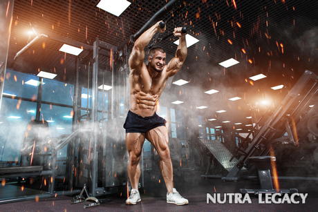 Building Lean Muscle Building Lean Muscle