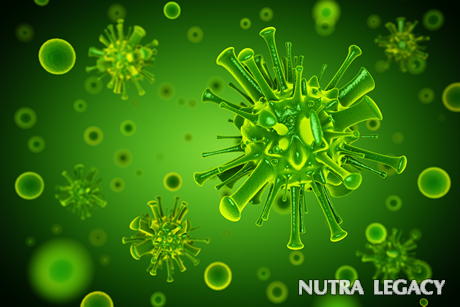 Causes of Viral Infections Causes of Viral Infections