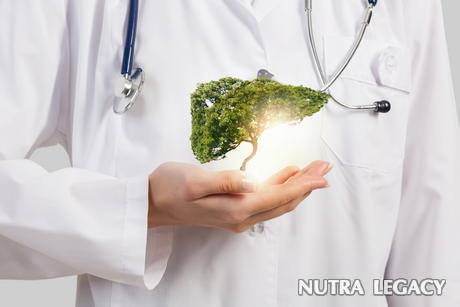 Natural Cleaning Products Natural Cleaning Products