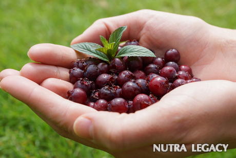 Coenzyme Q10 Coenzyme Q10