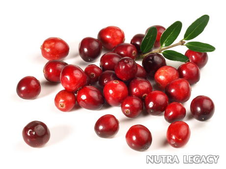 Cranberry Extract Cranberry Extract