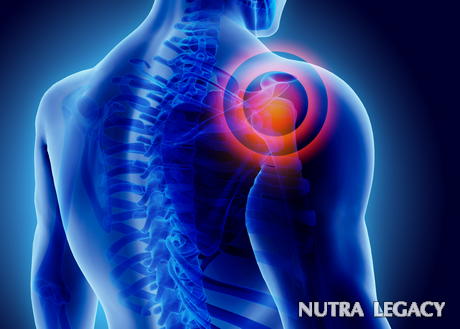Heart Inflammation Heart Inflammation