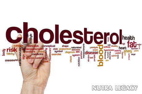Increase HDL Increase HDL