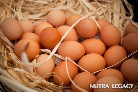 eggs eggs