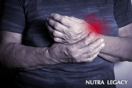 Prevention and Treatment of Osteoporosis