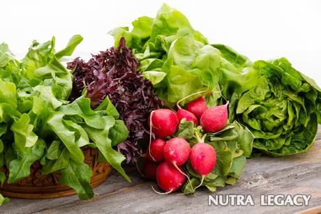 Folic Acid Foods Folic Acid Foods