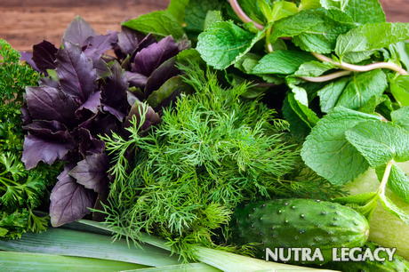 Folic Acid Foods