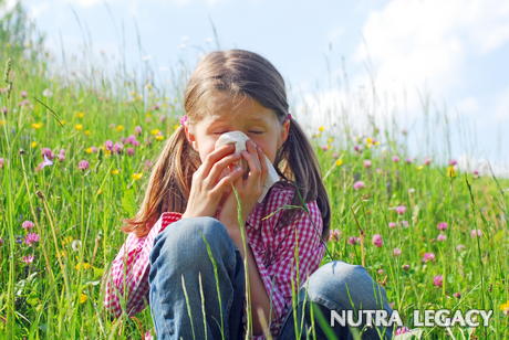 Food Allergies in Kids Food Allergies in Kids