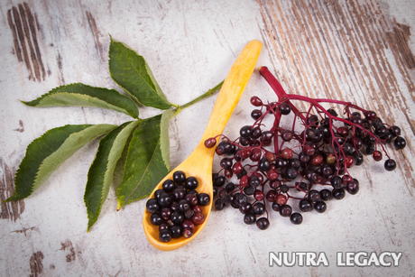 Foods that Increase Your Metabolism