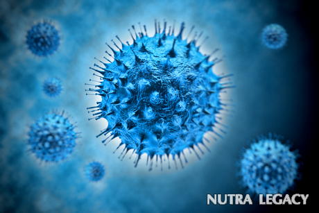 Germs-Viruses Germs-Viruses