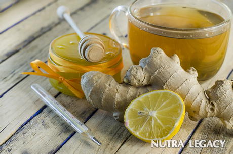Ginseng Root Ginseng Root