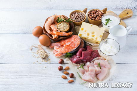 High Protein Diet Recipes