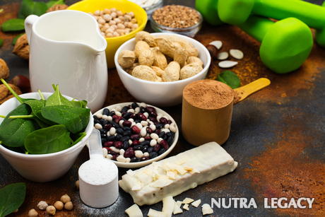 High Protein Vegetarian Diet High Protein Vegetarian Diet