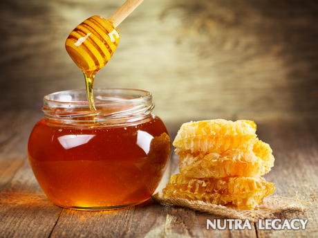 honey-bees honey-bees