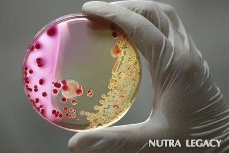 Hospital Superbugs Hospital Superbugs