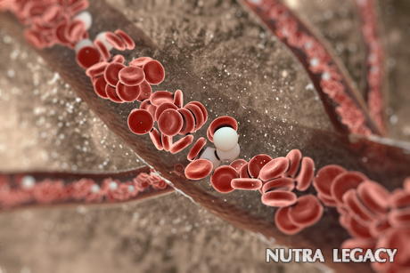 How Do Blood Vessels Break How Do Blood Vessels Break