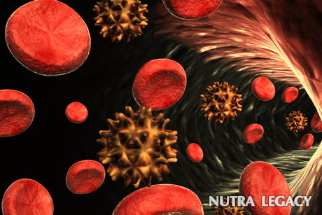 Build A Stronger Immune System Build A Stronger Immune System