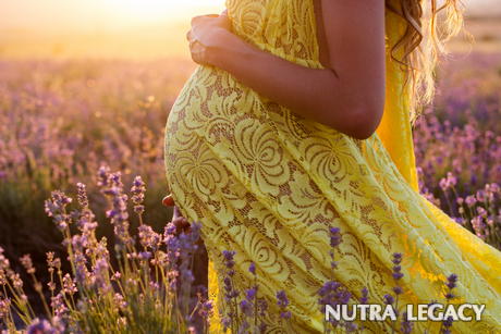 Stomach Flu Pregnancy Stomach Flu Pregnancy