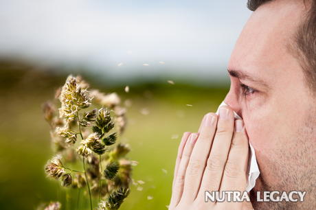 Allergy Symptoms Allergy Symptoms