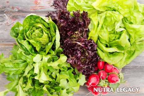 Best Pregnancy Diet Plan Best Pregnancy Diet Plan