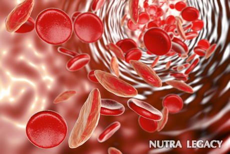 How To Get Rid Of Broken Blood Vessels How To Get Rid Of Broken Blood Vessels