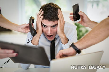 Remove Stress To Stay Healthy Remove Stress To Stay Healthy