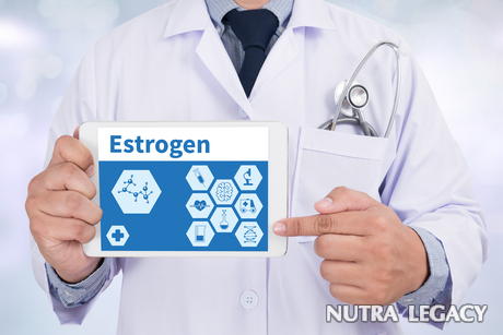 Increase Estrogen Increase Estrogen