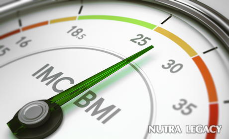 Internet Body Calculator Internet Body Calculator