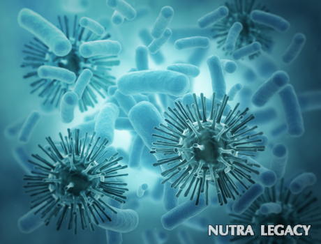 Flu Virus Flu Virus
