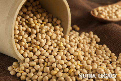 Is There A Link Between Soy And Breast Cancer Is There A Link Between Soy And Breast Cancer