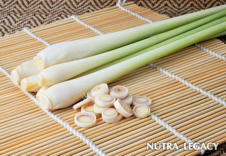 Lemon grass Lemon grass