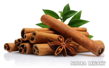 Cinnamon Extract Cinnamon Extract
