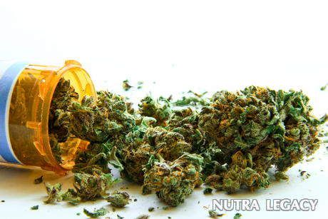 marijuana marijuana