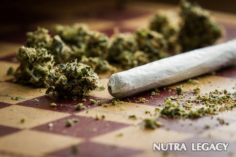 medical marijuana medical marijuana