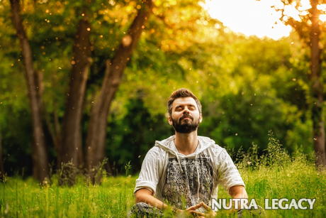 meditation meditation
