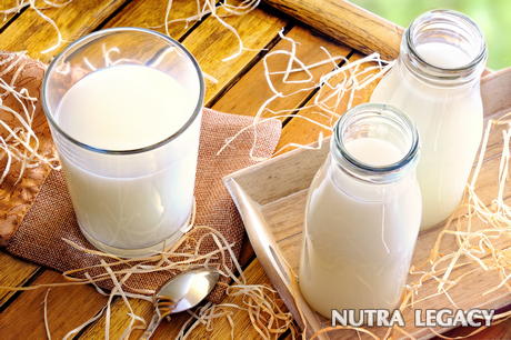 milk milk