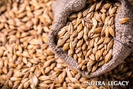 Natural Cholesterol Lowering Supplements Natural Cholesterol Lowering Supplements
