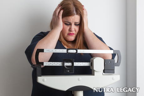 Leptin Discovery Leptin Discovery